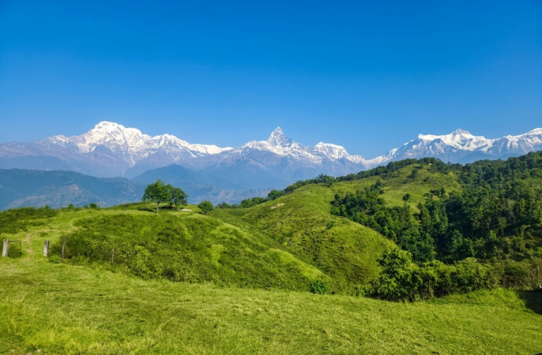 के तपाईँले देख्नुभएको छ हरिनासको यो रूप? (फोटो फिचर)